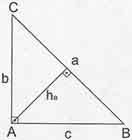 kpss dik üçgen alanı