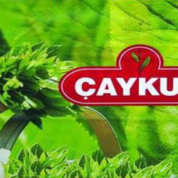 Çaykurdan-İşçi-Alımı-Açıklaması