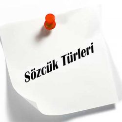 Sözcük Türleri